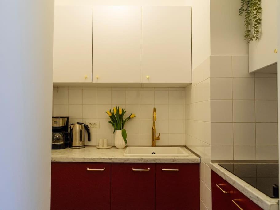 Apartament Amazing View Calea Victoriei Old